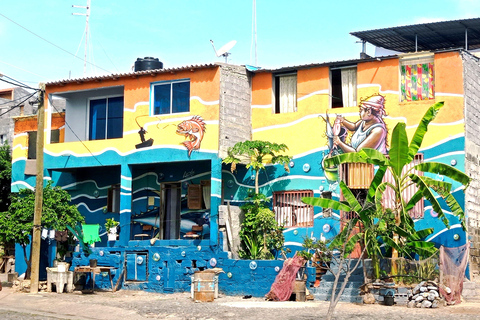 Wycieczka po plantacji bananów i kokosów z lunchem