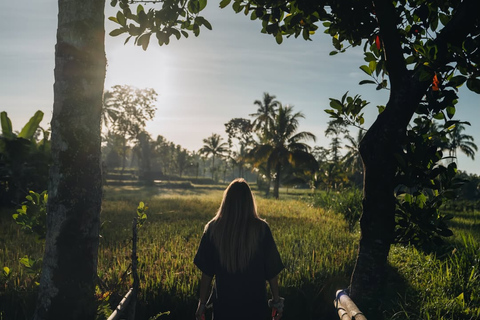 Tetebatu Waterfalls, Rice Terraces & Monkey Forest Day trip