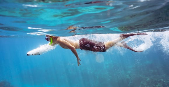 Maui, Lahaina: Small Group Snorkel Sail w/ Lunch & Open Bar