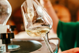 Canet, Languedoc: Wine tasting at Domaine de la Dourbie.