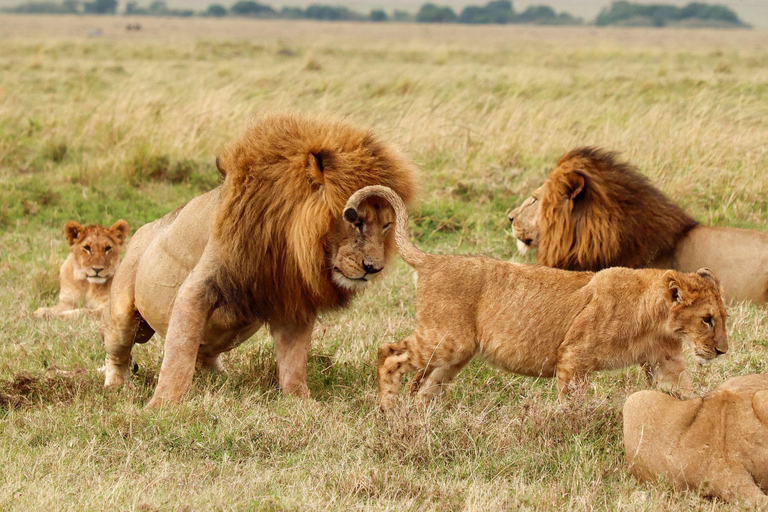 2-Day Tsavo East National Park Private Safari