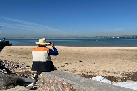 Hammamet in the Spotlight Tour: History, Sea & Wines (All In) From Hammamet (All-Inclusive)