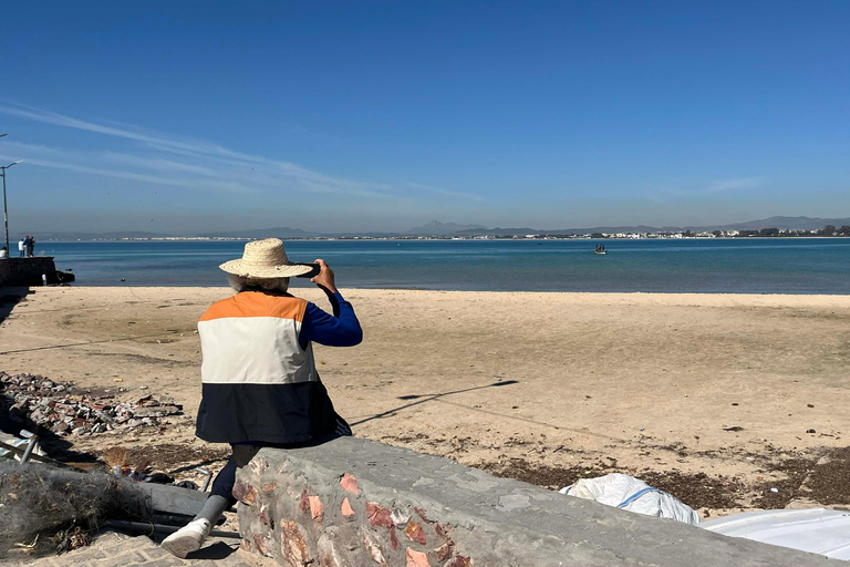 Hammamet in the Spotlight Tour: History, Sea & Wines (All In) From Hammamet (All-Inclusive)