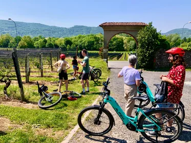 Como: Comer See und Schweizer Weinberge Ebike Tour