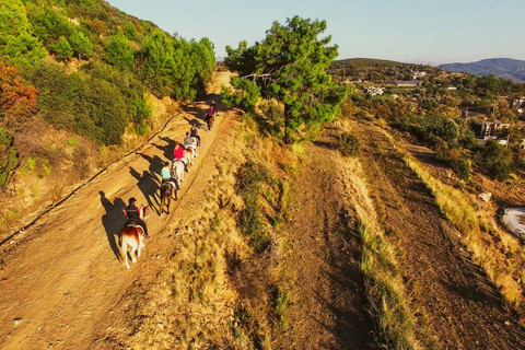 Alanya: Unique Horse Safari Experience in the Taurus Mountains with Transport Alanya: Unique Horse Safari Experience in the Taurus Mountains + Transfer