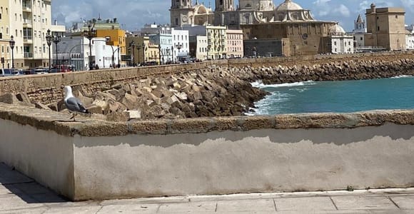 Cádiz: Private Tapas and Culture Tour with Guide