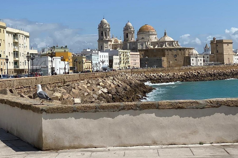 Cádiz: Private Tapas and Culture Tour with Guide