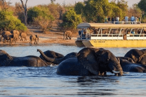 Safari de 3 días en Chobe con paseos en barco y safarisSafari de 3 días por Chobe con paseos en barco y safaris en vehículo