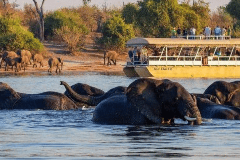 Safari de 3 días en Chobe con paseos en barco y safarisSafari de 3 días por Chobe con paseos en barco y safaris en vehículo