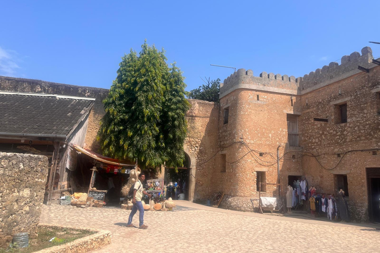 Zanzibar: Stone Town Tour and School Visit with Hassan Discover Town and School Visit with Hassan