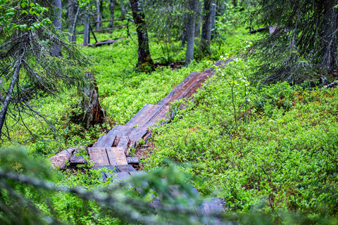 Rovaniemi: Korouoma Canyon and Auttiköngäs Falls Tour