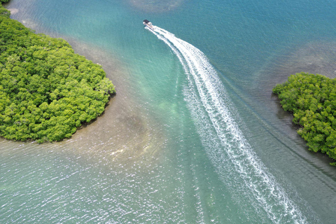 Guadeloupe: Magical half-day boat trip: mangrove, islet, snorkeling. Guadeloupe: Magical 1/2-day boat trip: mangrove, islet, snorkeling.