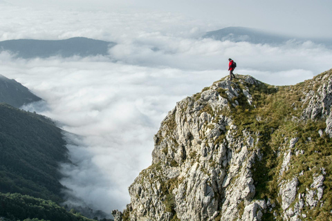 Elephant Hills Hike: 1-Day Adventure from Nairobi/Naivasha Elephant Hills Hike: 1-Day Adventure from Nairobi