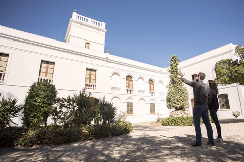 Toegangbewijs | Fundació Mas Miró - Mont-roig del Camp