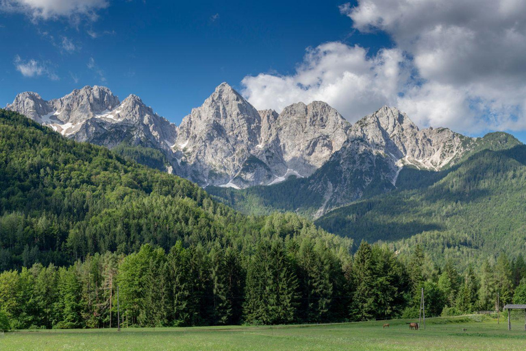 From Bled/Bohinj: Julian Alps & Italy Day Trip with Guide