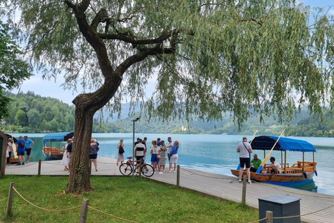 Depuis Zagreb : Excursion d'une journée à Bled et Ljubljana