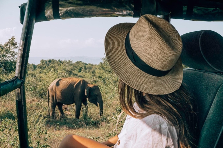 Wycieczka safari z Galle (Hikkaduwa) do Parku Narodowego Udawalawe