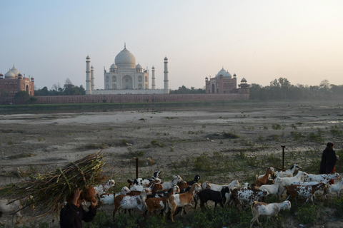 Visite privée de 7 jours de Delhi, Jaipur, Agra et VaranasiCircuit avec hôtels 4 étoiles