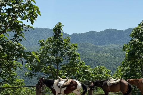 Goyave: Beginner Horseback Ride Between Sea and Mountains