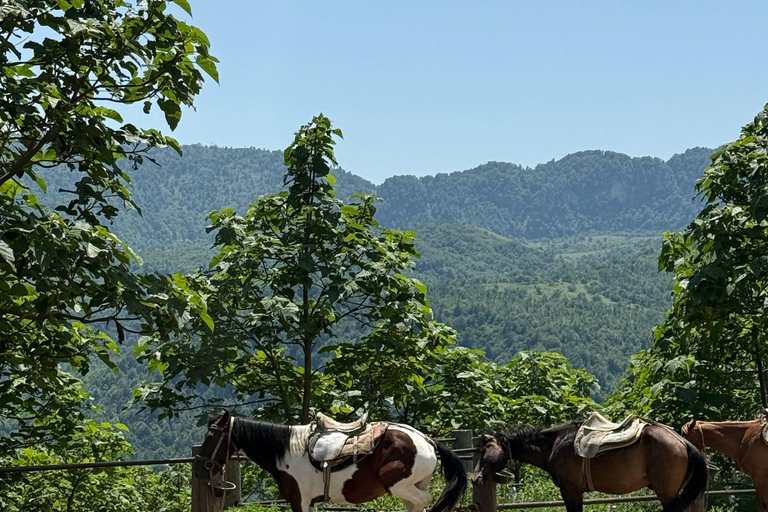 Goyave: Beginner Horseback Ride Between Sea and Mountains