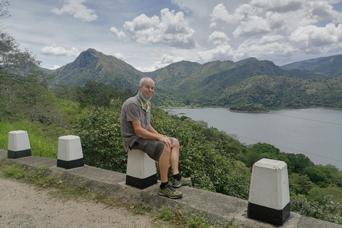 Ella to mirissa galle tangalle yala share ride 9.30am