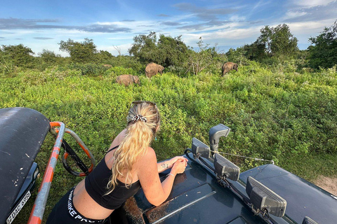 From South Coast: Udawalawe Park Safari with Ella Drop-off