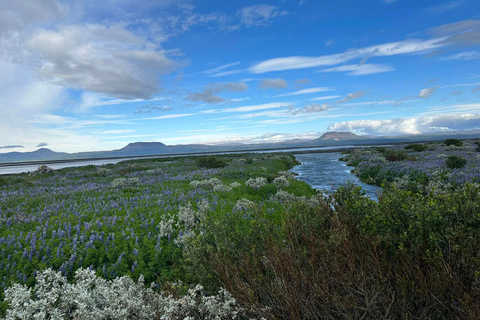 IJsland atv. atv begeleide tocht naar dettifoss ijslandIJsland atv. atv-rondleiding dichtbij dettifoss ijsland