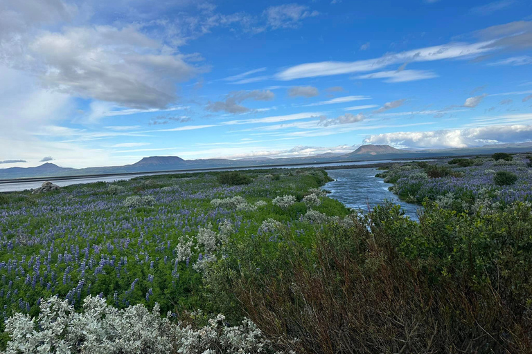 Islandia atv. wycieczka z przewodnikiem w pobliżu Dettifoss IslandiaIslandia atv. wycieczka z przewodnikiem atv w pobliżu Islandii Dettifoss