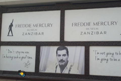 Swim with Turtles at The Lagoons Zanzibar & Stone Town Tour Transfer Not Included: Meeting Point at Stone town Only