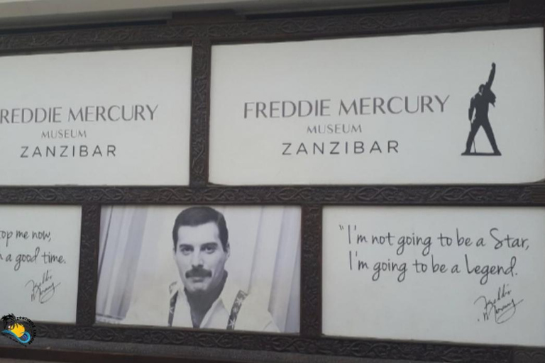 Swim with Turtles at The Lagoons Zanzibar & Stone Town Tour Transfer Not Included: Meeting Point at Stone town Only