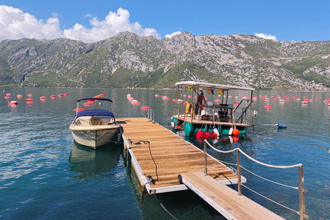 Kotor: All About Mussels Guided Tour