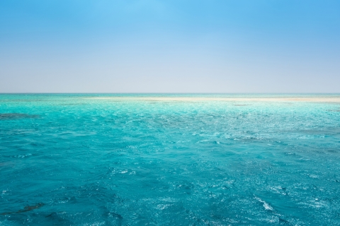 Sharm El Sheikh: Intro-nurkowanie na Ras Mohamed i White Island