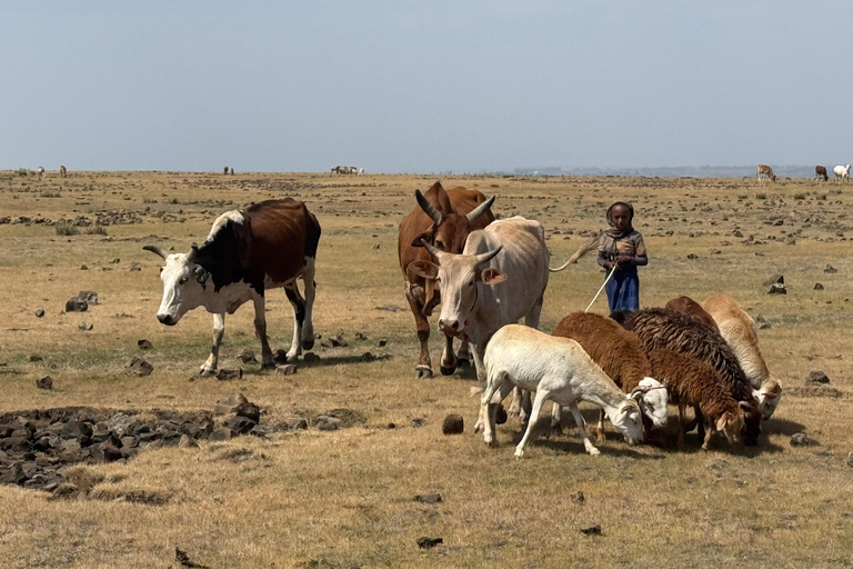 Addis Abeba: Tagestour in den Menagesha Suba Forest mit Guide