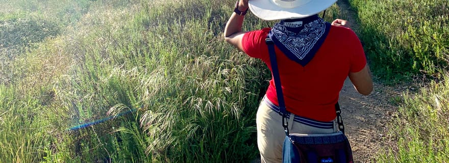 Montagnes de Santa Monica : randonnée guidée au-dessus de l'océan Pacifique