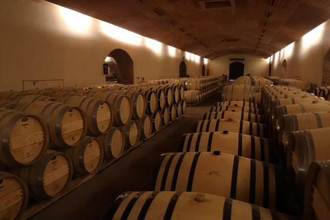 Wine Tour with 7 Tastings + Private Transport + Lapis Lazuli