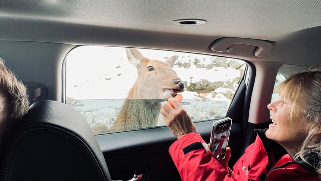 Montreal: Omega Park Private Tour with Pickup & Guide