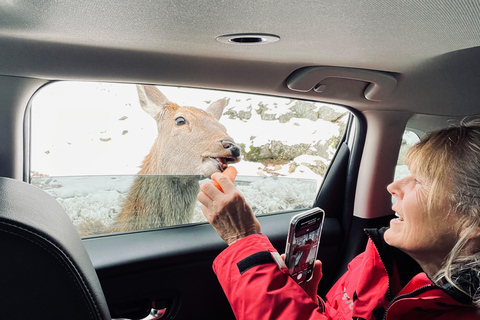 Montreal: Omega Park Private Tour with Pickup & Guide