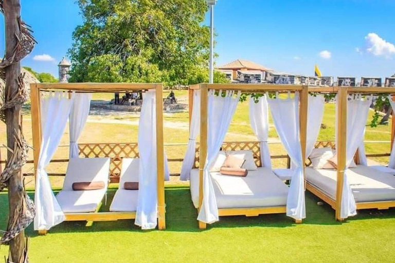 Cartagena: Playa Morena Day Trip, Balinese Beds, and Historical Tour