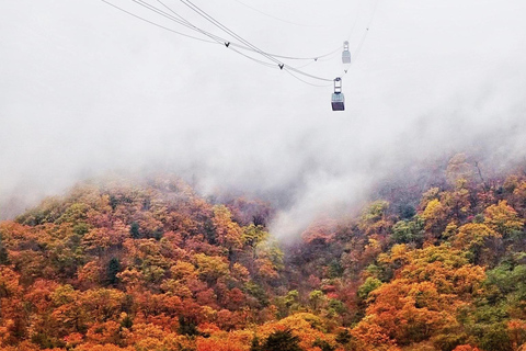 Seoul: Mt. Seoraksan National Park Autumn Foliage Day Tour Seoraksan Foliage Shared Tour, Meet at Myeongdong Station