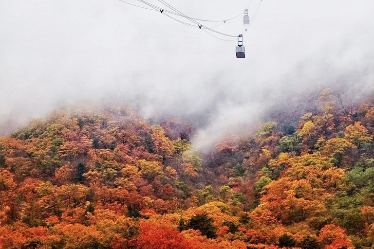 Seoul: Mt. Seoraksan National Park Autumn Foliage Day Tour Seoraksan Foliage Shared Tour, Meet at Myeongdong Station