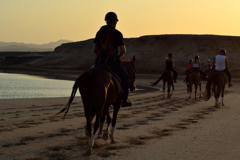 Marsa Alam: Zonsondergang te paard met diner, show &amp; sterrenkijken