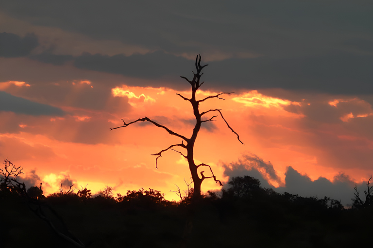 Mid-High end 5 Day all-inclusive Kruger &amp; Pano Tour from JHB