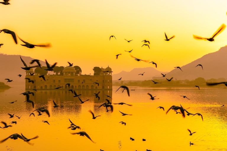Privé Full-day Jaipur Sightseeing Tour per tuk tukHele dag Jaipur sightseeing tour per tuk tuk met chauffeur