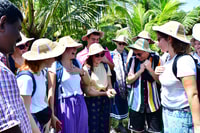 Kumbalangi, visite guidée du premier village touristique de l'Inde - Housity