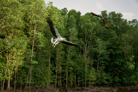 Langkawi: Tanjung Rhu Mangrove Speedboat Tour Shared Boat with Lunch (Meet At Tanjung Rhu Jetty) (2-4 Pax)