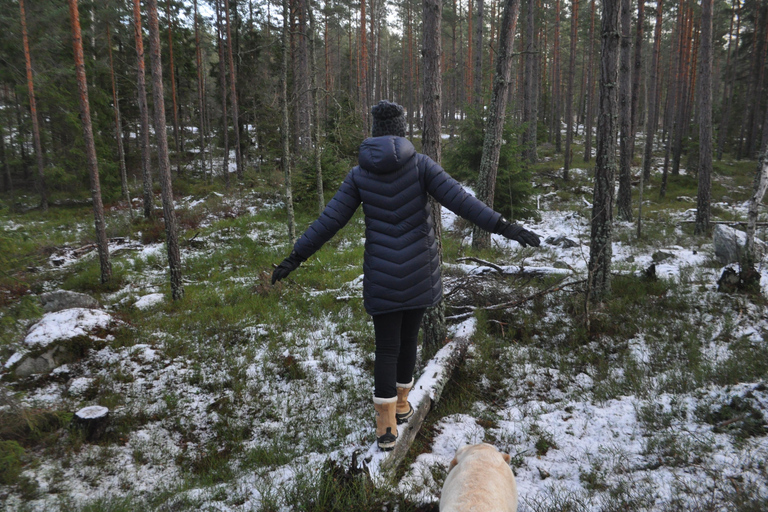Stockholm: Dog Walk in Nature Reserve with Swedish Fika