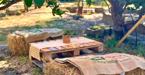 Palermo: Citrus Grove, Liquor Distillery, and Limoncello Tasting