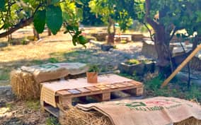  - PalermoHotel.it