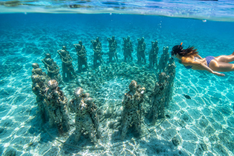 Labuan Bajo: 5-Day Komodo to Gili Trawangan Whale Shark Tour Standart Boat | Sharing Deck | No WHALE SHARK