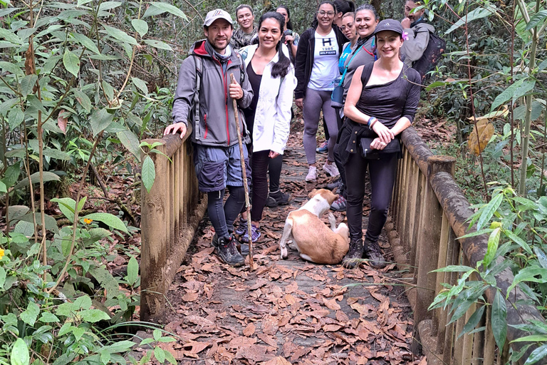 Medellín Hiking, Santa Elena – Arví Park, Forests, and Lagoon